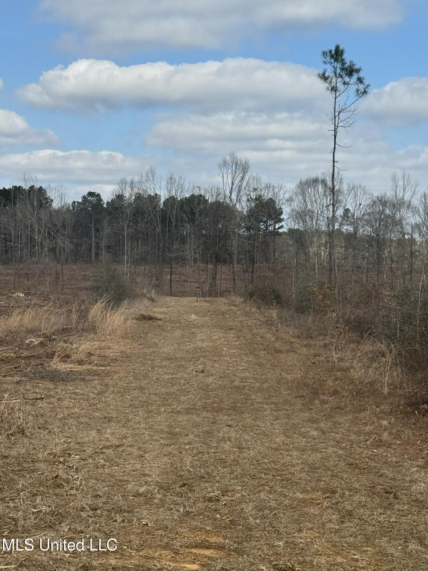 Smiley Honea Road Magnolia, MS 39652 - Photo 14 of 15 14