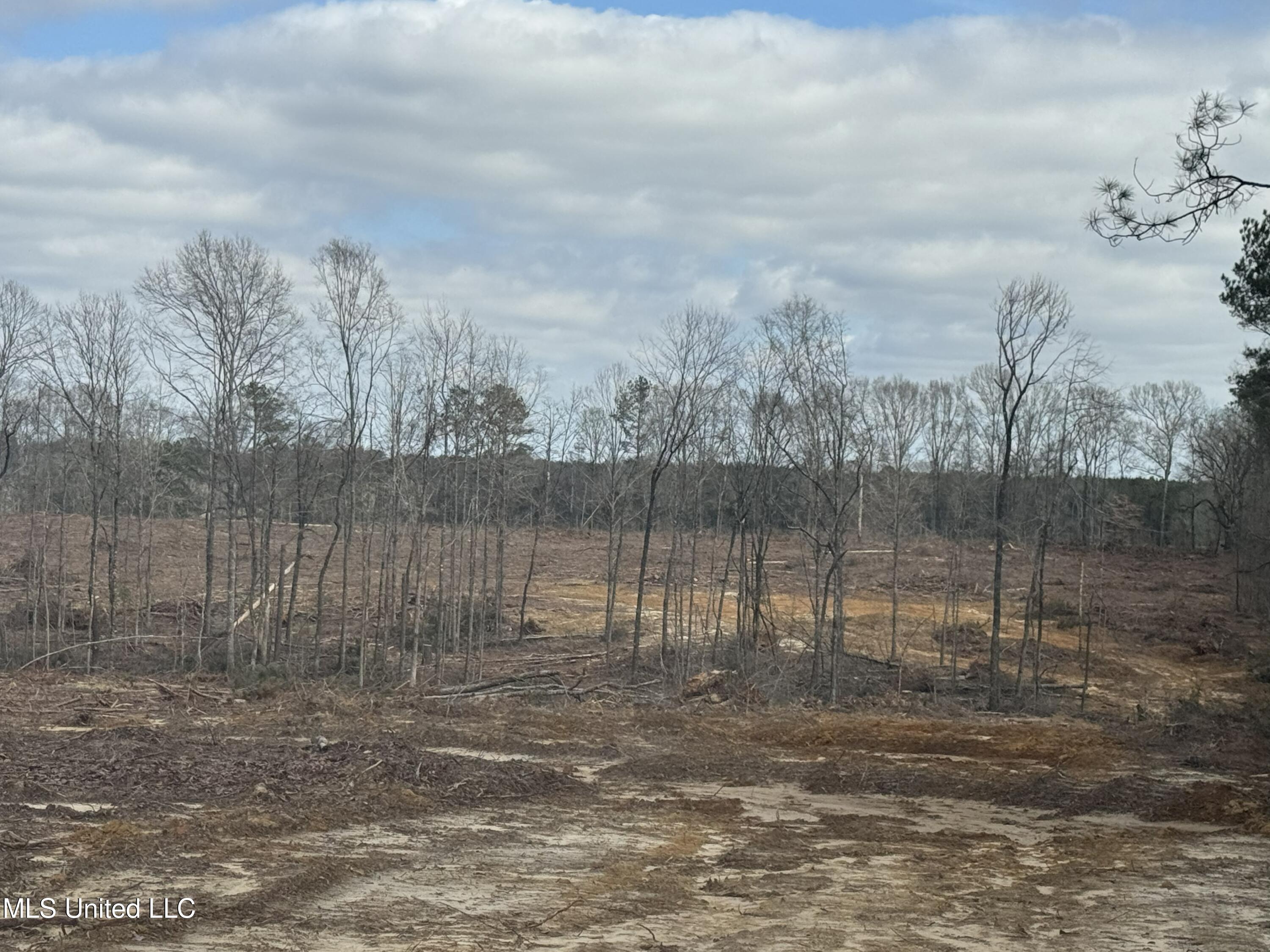 Smiley Honea Road Magnolia, MS 39652 - Photo 15 of 15 15