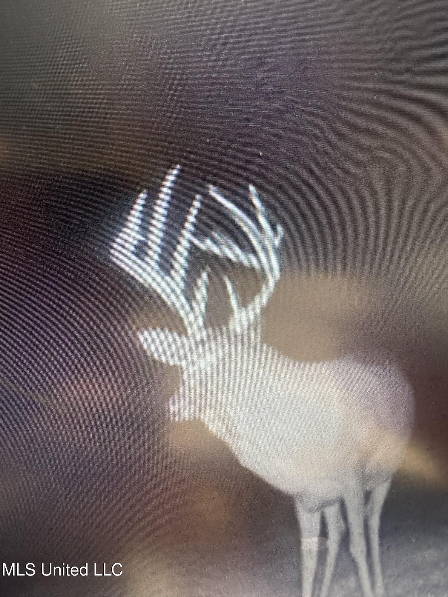 Smiley Honea Road Magnolia, MS 39652 - Photo 3 of 15 3