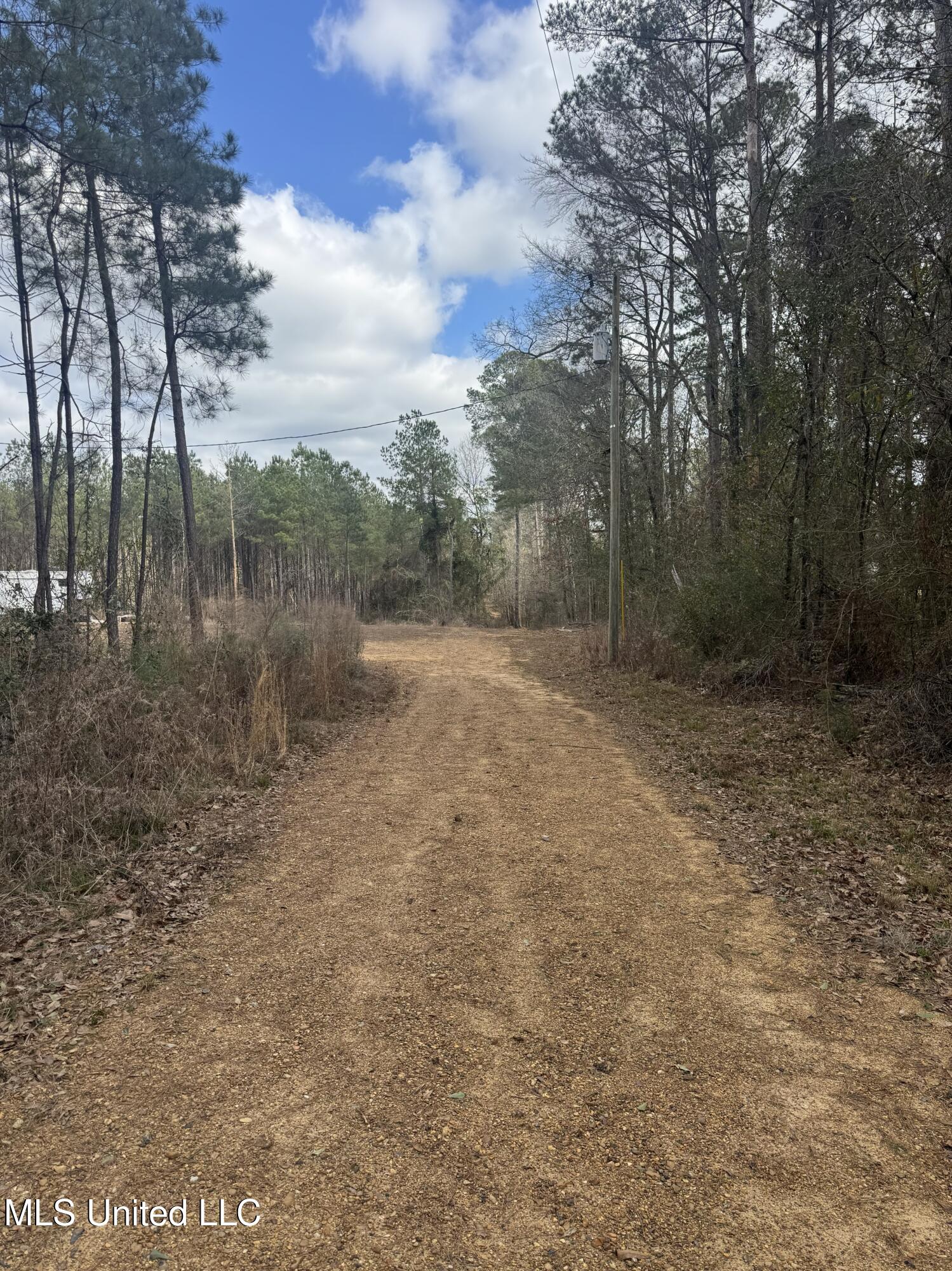 Smiley Honea Road Magnolia, MS 39652 - Photo 4 of 15 4
