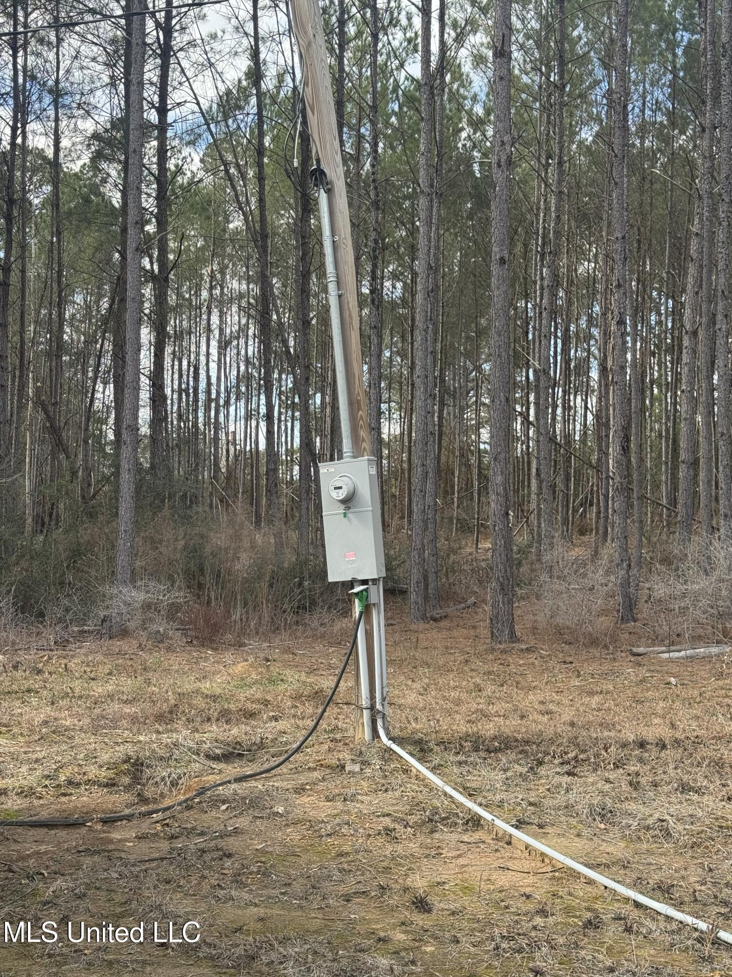 Smiley Honea Road Magnolia, MS 39652 - Photo 6 of 15 6