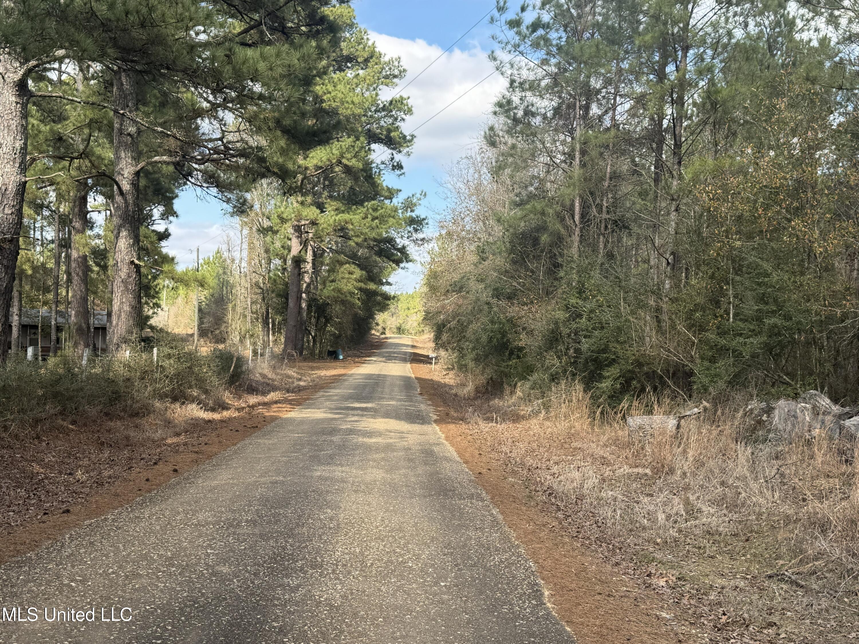 Smiley Honea Road Magnolia, MS 39652 - Photo 8 of 15 7