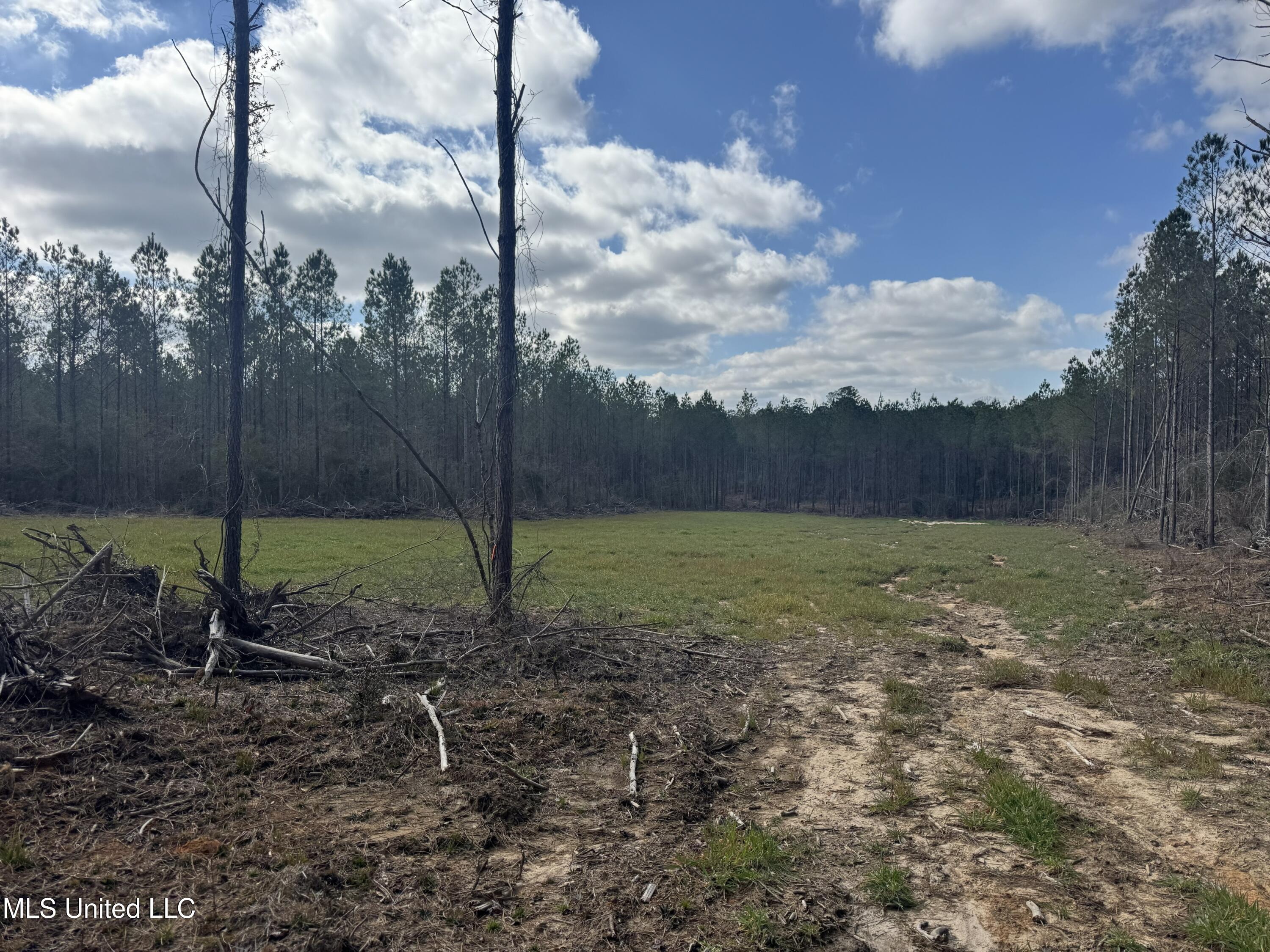 Smiley Honea Road Magnolia, MS 39652 - Photo 10 of 15 9