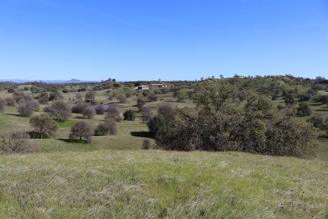 a sign board with tree in the background