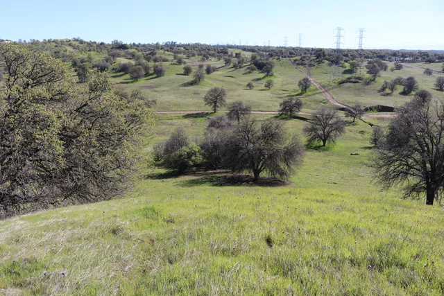 a view of beach and ocean