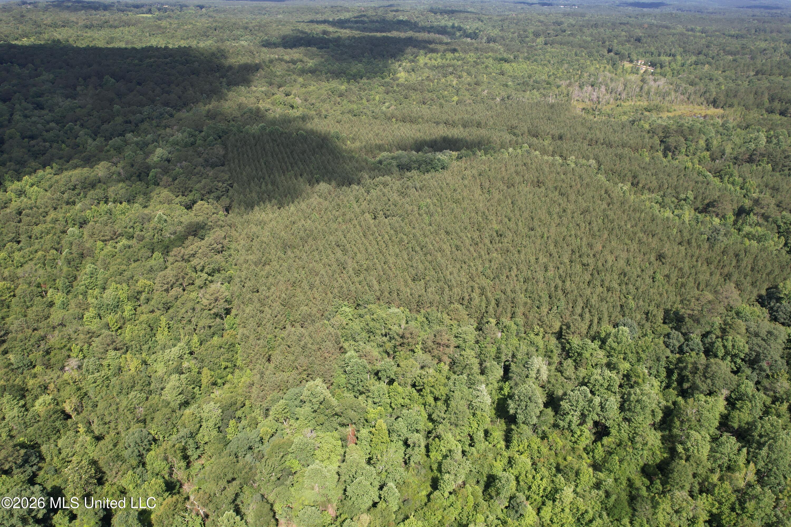 135 Joe Booth Road Taylorsville, MS 39168 - Photo 21 of 22 DJI_0617