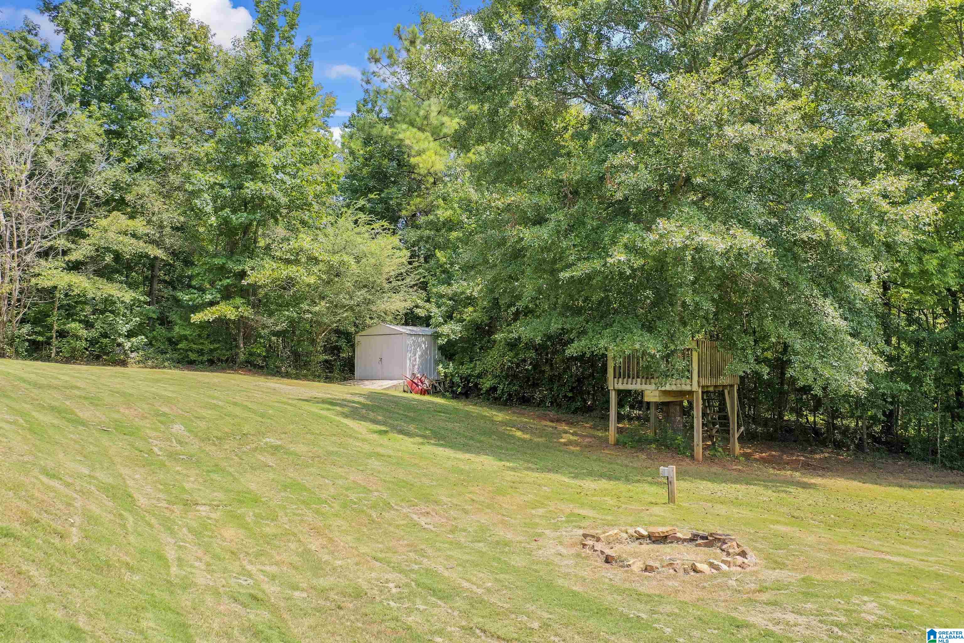 3025 Chelsea Ridge Trail Columbiana, AL 35051 - Photo 42 of 50