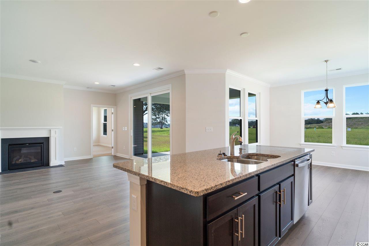741 Ricegrass Place Little River, SC 29566 - Photo 3 of 29 Gallery Image 3