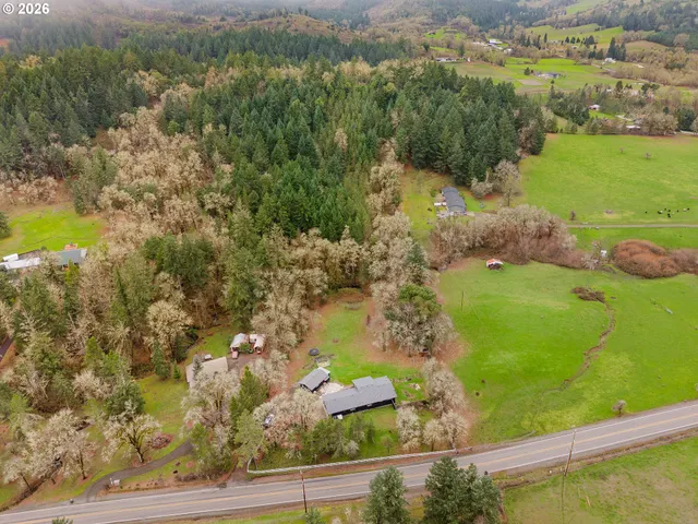 an aerial view of residential houses with outdoor space and trees