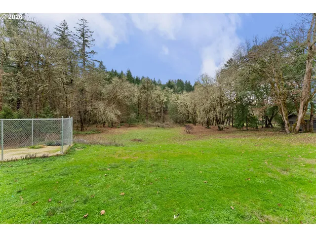 a view of a yard with large trees