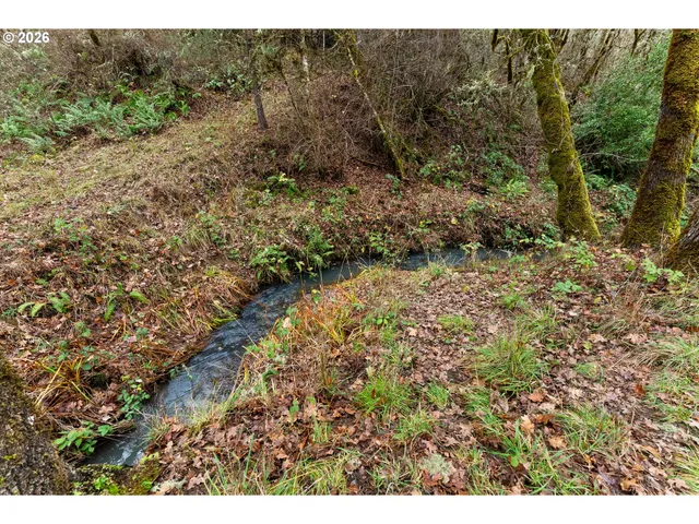 a view of a yard with plants and trees