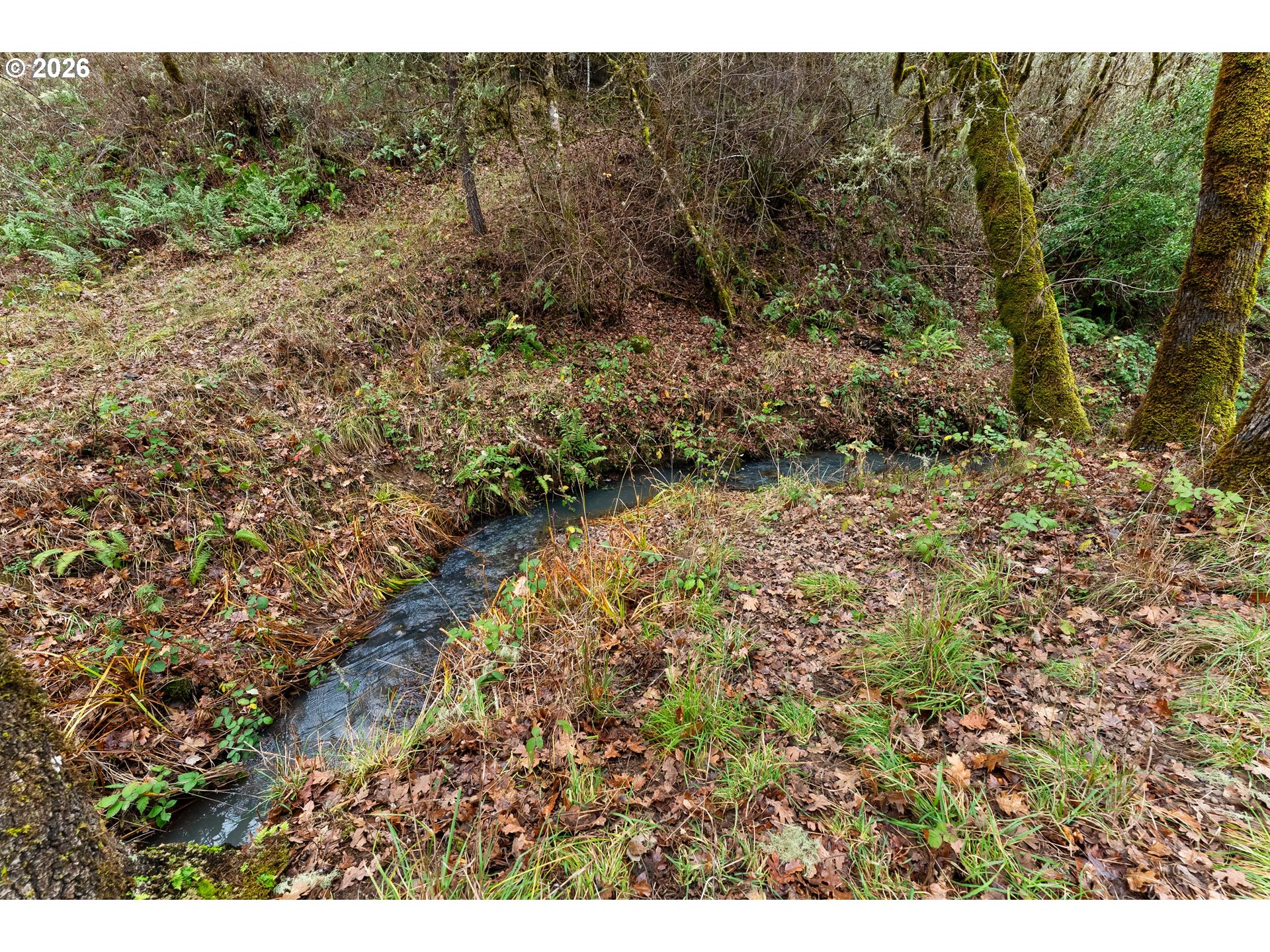 8148 Melqua Road Umpqua, OR 97486 - Photo 45 of 45 Gallery Image 45