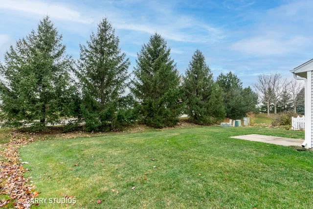 a view of a grassy field with trees in the background