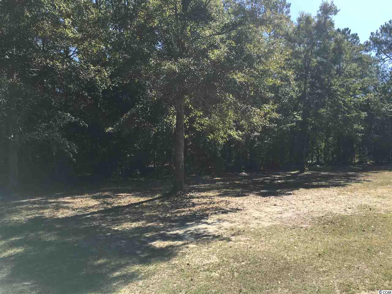 Tbd Fawn Road Conway, SC 29527 - Photo 2 of 4