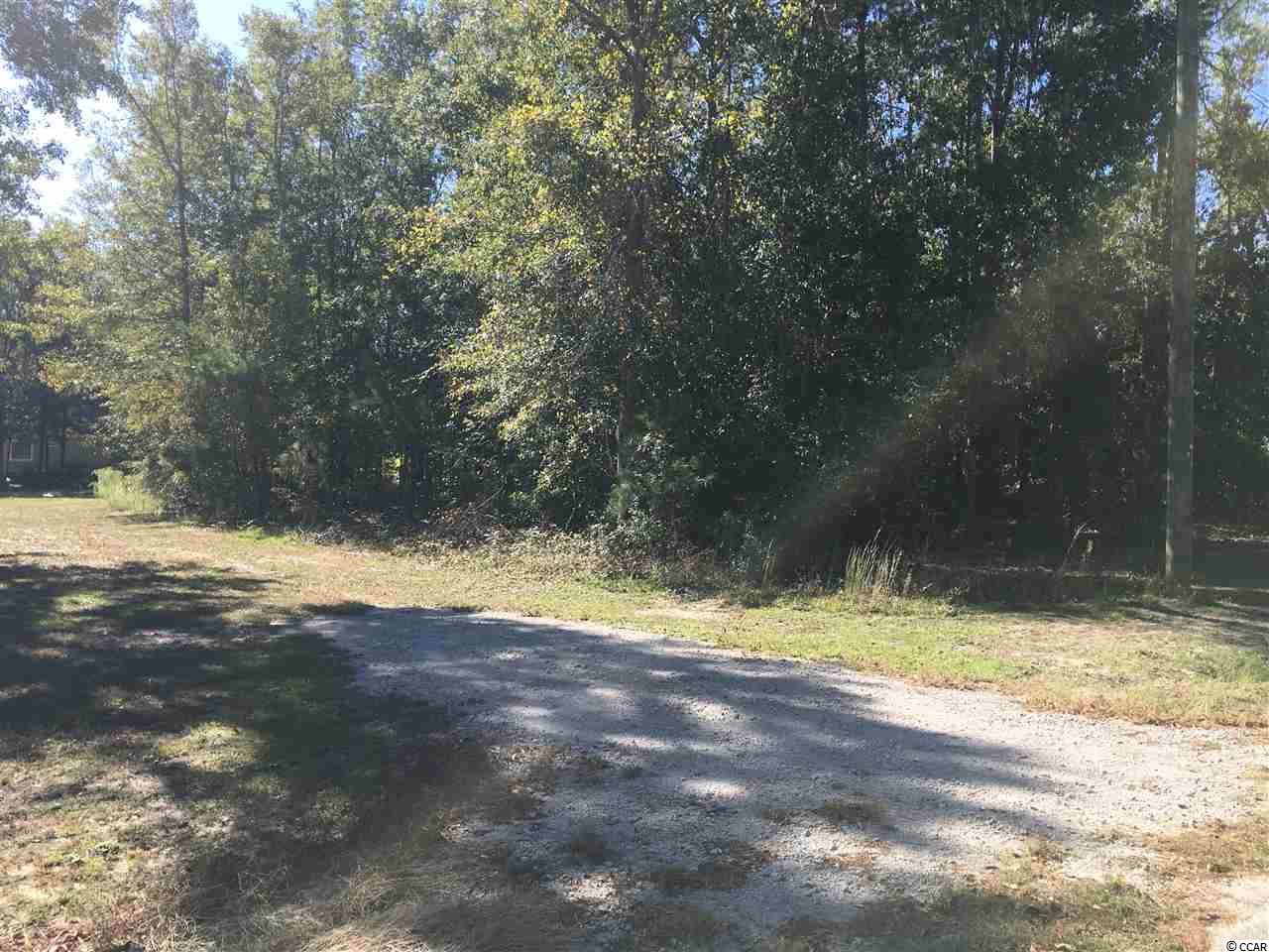 Tbd Fawn Road Conway, SC 29527 - Photo 3 of 4