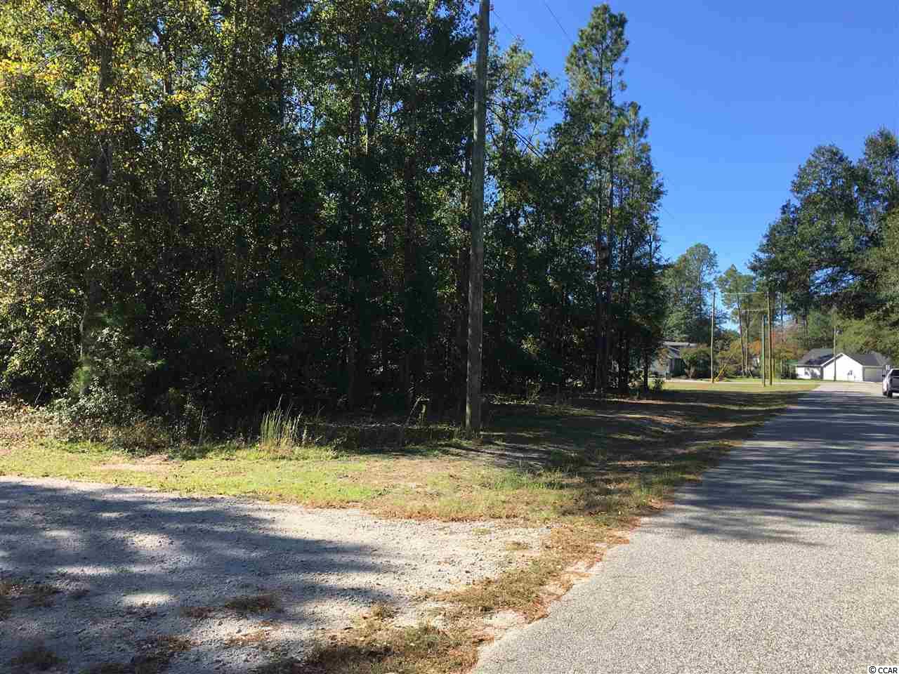 Tbd Fawn Road Conway, SC 29527 - Photo 4 of 4