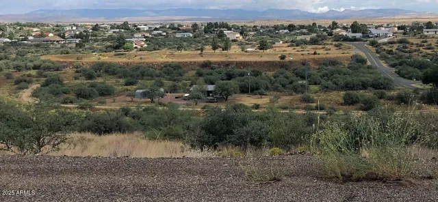 a view of a yard with a tree