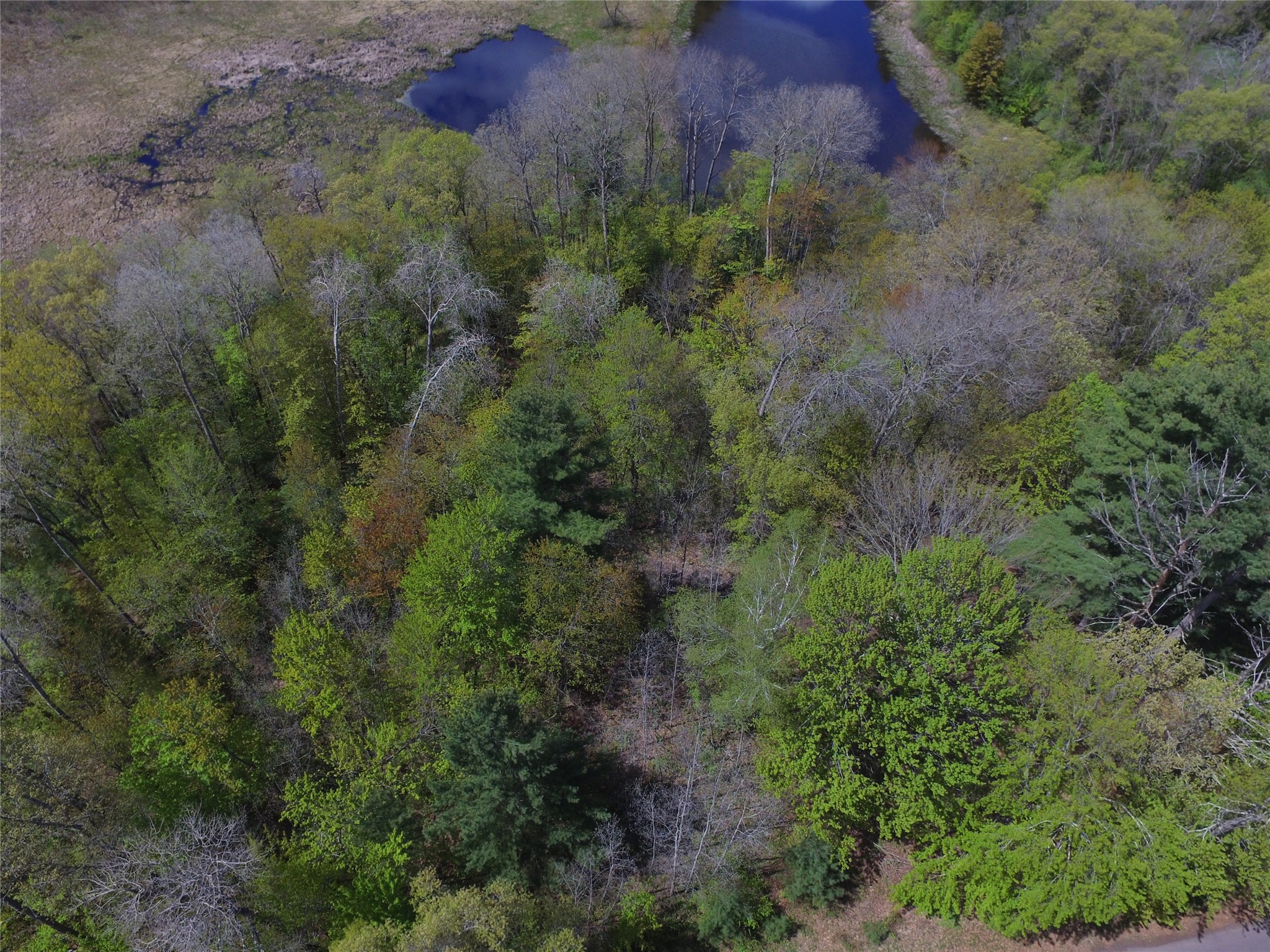 25383 Mansfield Road Webster, WI 54893 - Photo 21 of 36