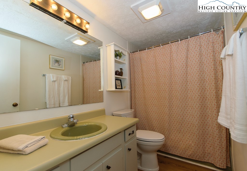 220 Northridge Road, Unit 25 Beech Mountain, NC 28604 - Photo 26 of 47 a bathroom with a sink a toilet and shower curtain