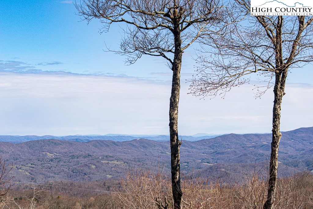 220 Northridge Road, Unit 25 Beech Mountain, NC 28604 - Photo 33 of 47 a view of a tree in a field