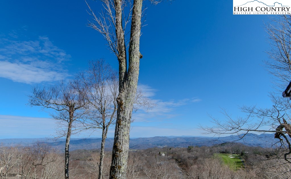 220 Northridge Road, Unit 25 Beech Mountain, NC 28604 - Photo 38 of 47 a view of a tree in a yard