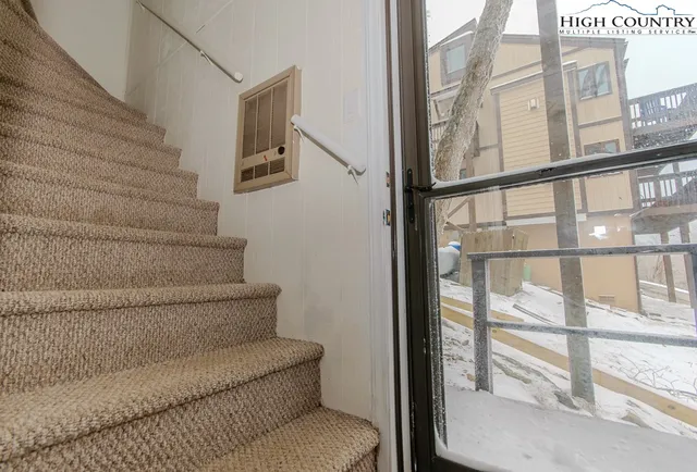 a view of a dry yard with trees in the background