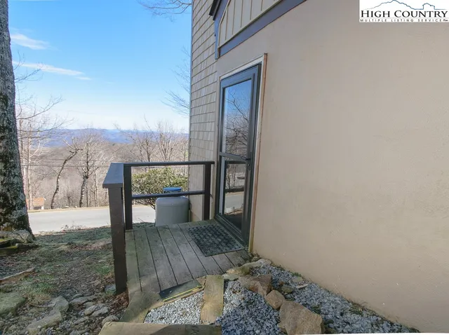 a view of a bunch of plants and trees