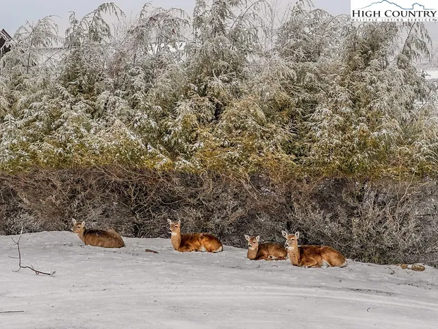 $284,000 | 220 Northridge Road, Unit 25, Beech Mountain, NC 28604