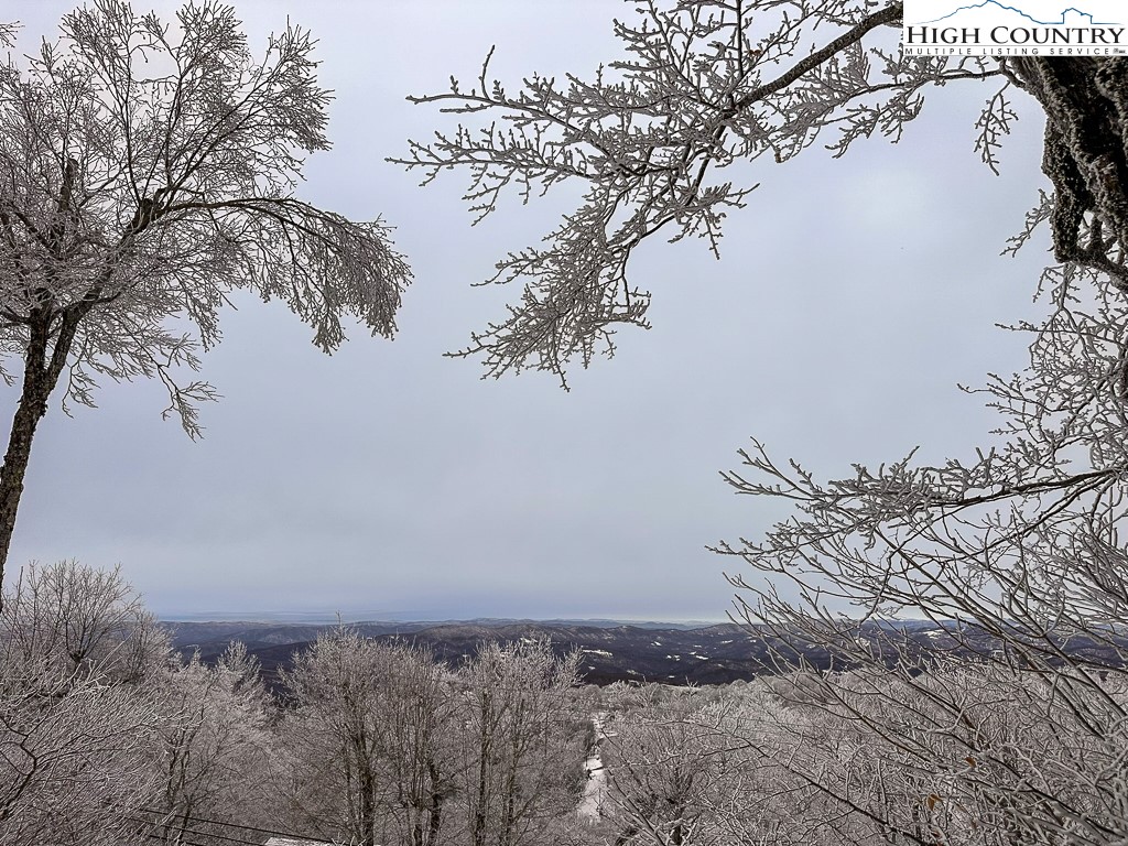 220 Northridge Road, Unit 25 Beech Mountain, NC 28604 - Photo 45 of 47 a view of a dry yard with trees in the background