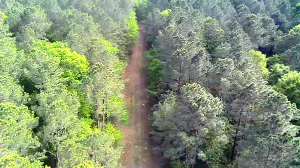 $80,945 | 190 Point Blank Tx 77364, Point Blank, TX 77364