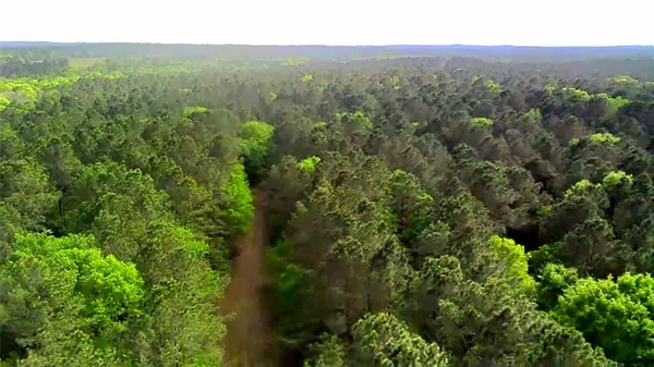 $80,945 | 190 Point Blank Tx 77364, Point Blank, TX 77364