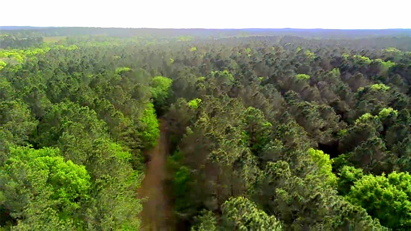 190 Point Blank Tx 77364 Point Blank, TX 77364 - Photo 2 of 9