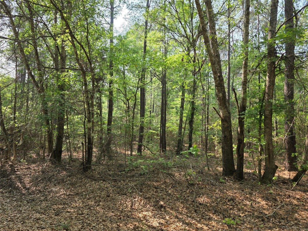 190 Point Blank Tx 77364 Point Blank, TX 77364 - Photo 5 of 9