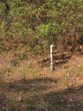 $80,945 | 190 Point Blank Tx 77364, Point Blank, TX 77364