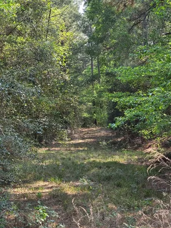 $80,945 | 190 Point Blank Tx 77364, Point Blank, TX 77364