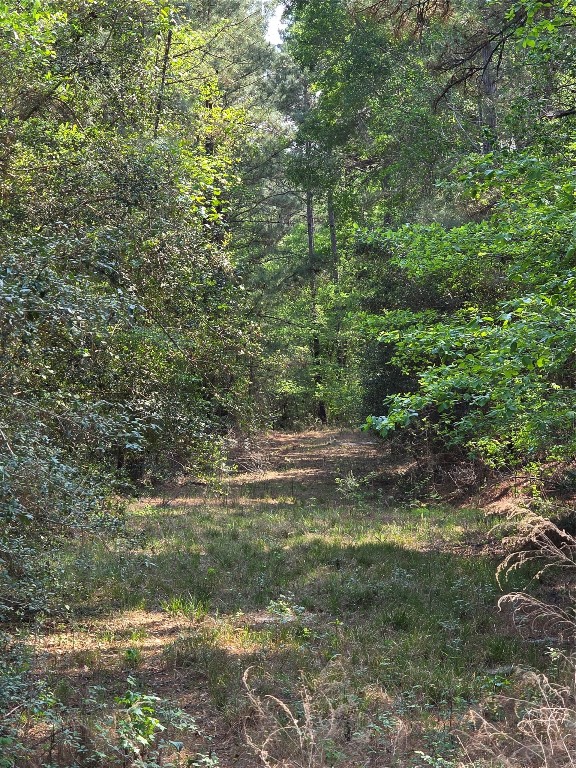 190 Point Blank Tx 77364 Point Blank, TX 77364 - Photo 7 of 9