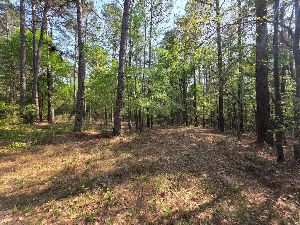 190 Point Blank Tx 77364 Point Blank, TX 77364 - Photo 8 of 9