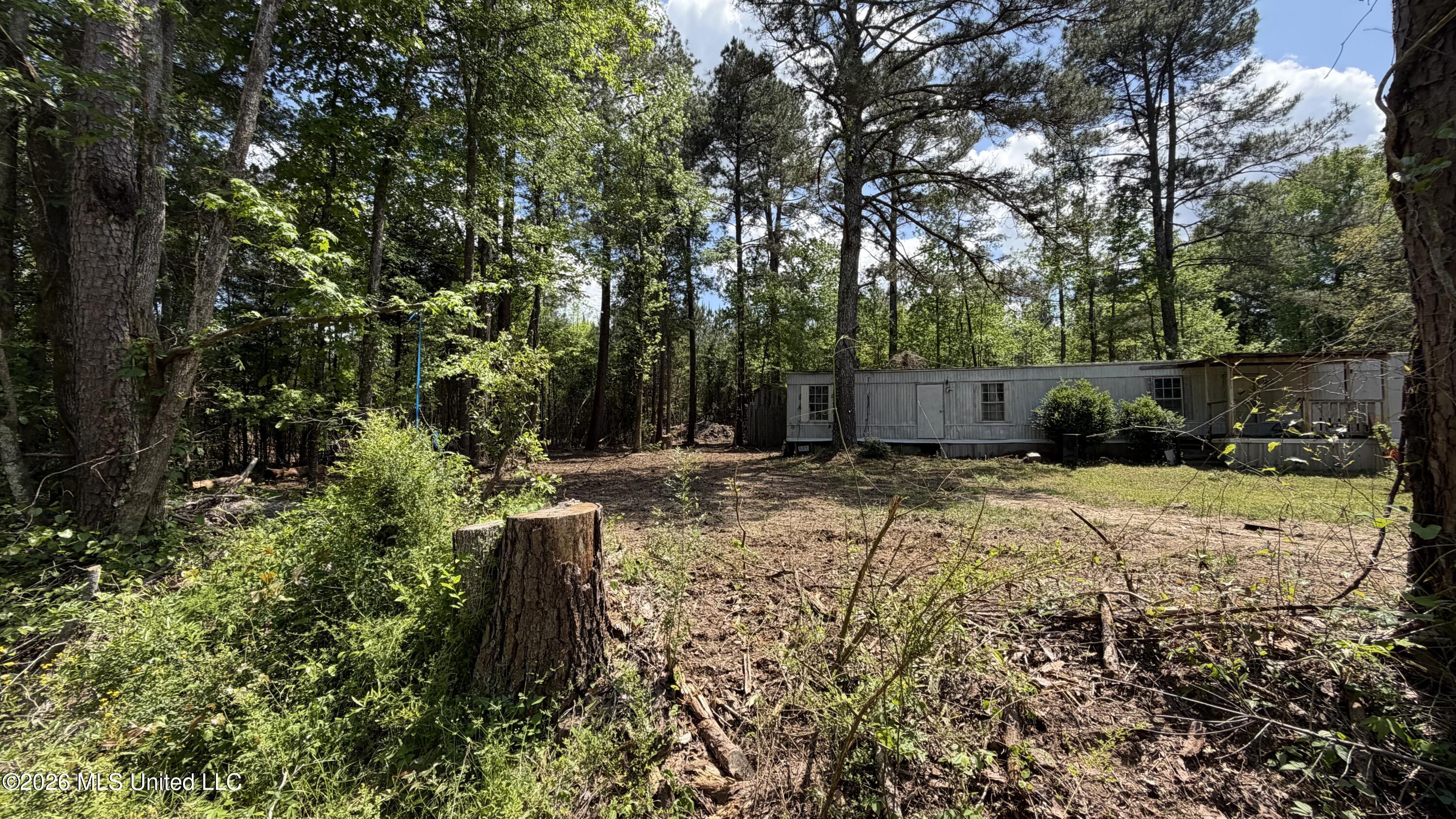 349 Velma Moore Road Lawrence, MS 39336 - Photo 3 of 3 IMG_0785
