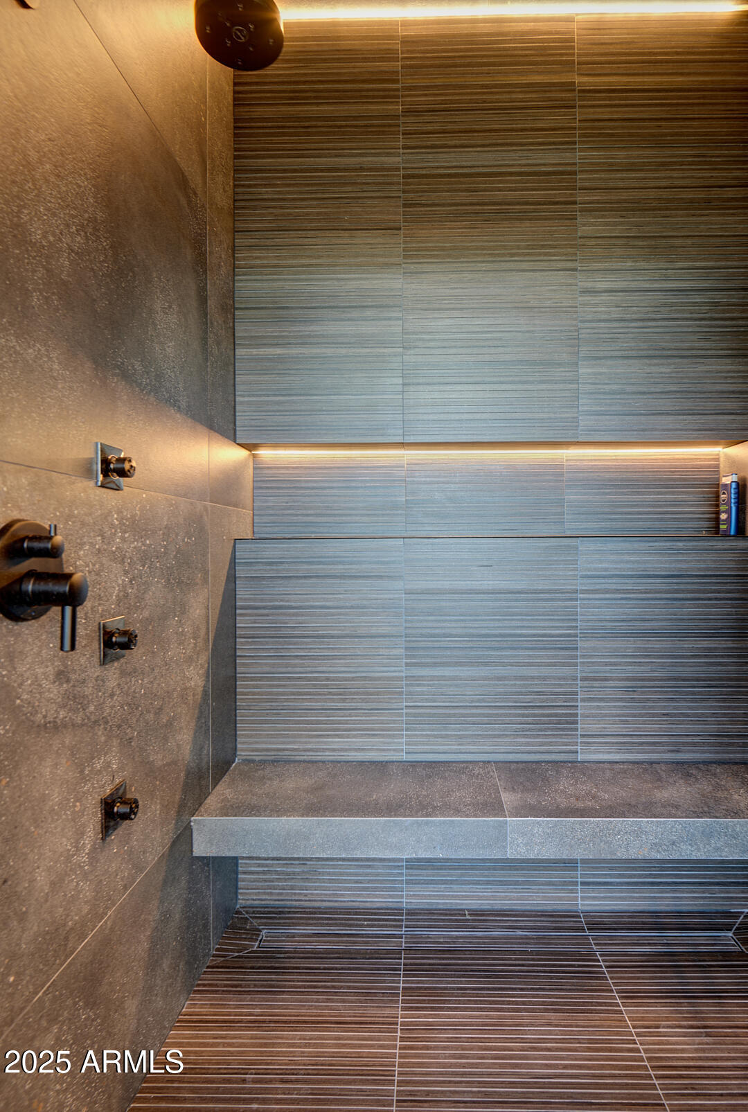 10249 East Joy Ranch Road Scottsdale, AZ 85262 - Photo 31 of 57 Primary Shower