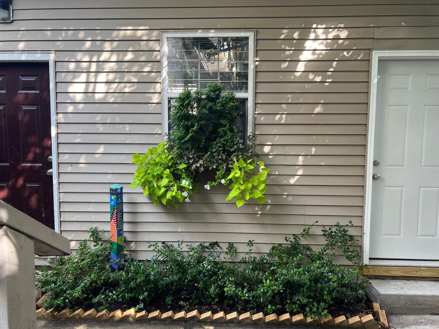 1920 West Addison Street Chicago, IL 60613 - Photo 32 of 34 a potted plant sitting in front of a glass door
