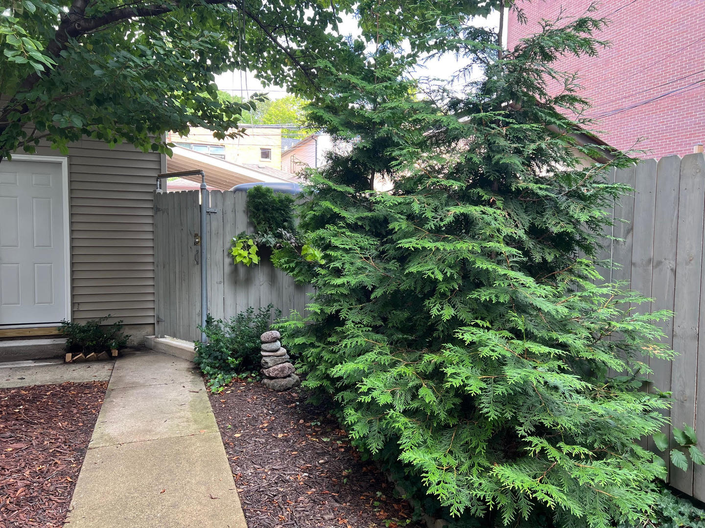 1920 West Addison Street Chicago, IL 60613 - Photo 33 of 34 a backyard of a house with plants and trees