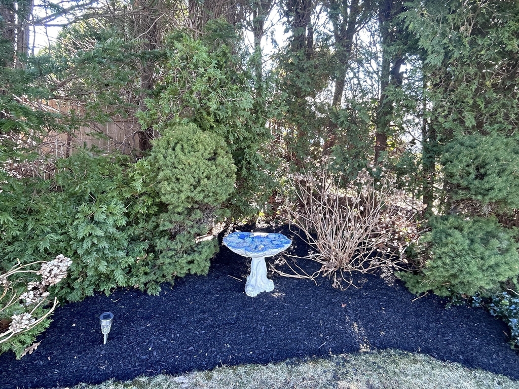 585 North Eastern Avenue Fall River, MA 02720 - Photo 5 of 26 a view of a backyard with plants and fountain