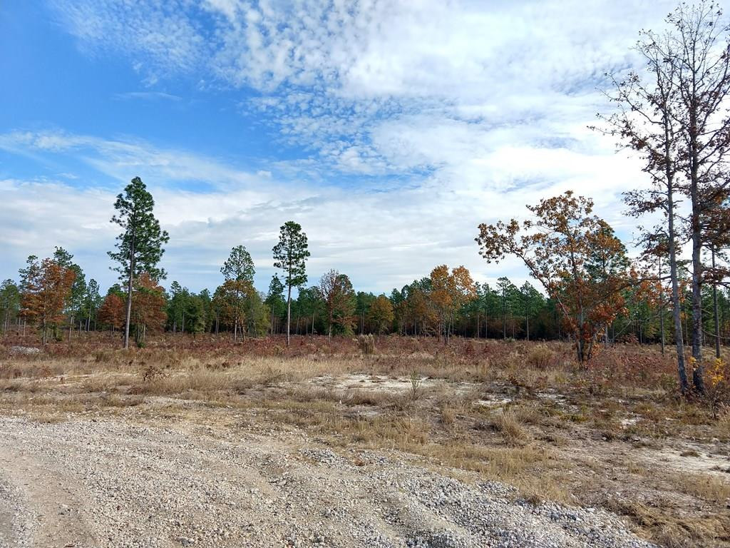 Lot 8 Tandem Trail Windsor, SC 29856 - Photo 1 of 7