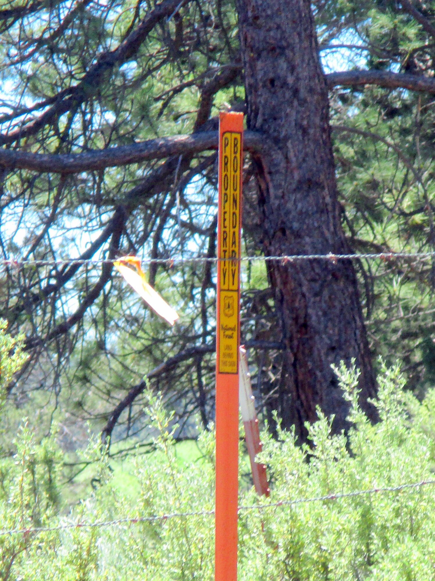14914 Sprague River Road Chiloquin, OR 97624 - Photo 21 of 42 IMG_1008