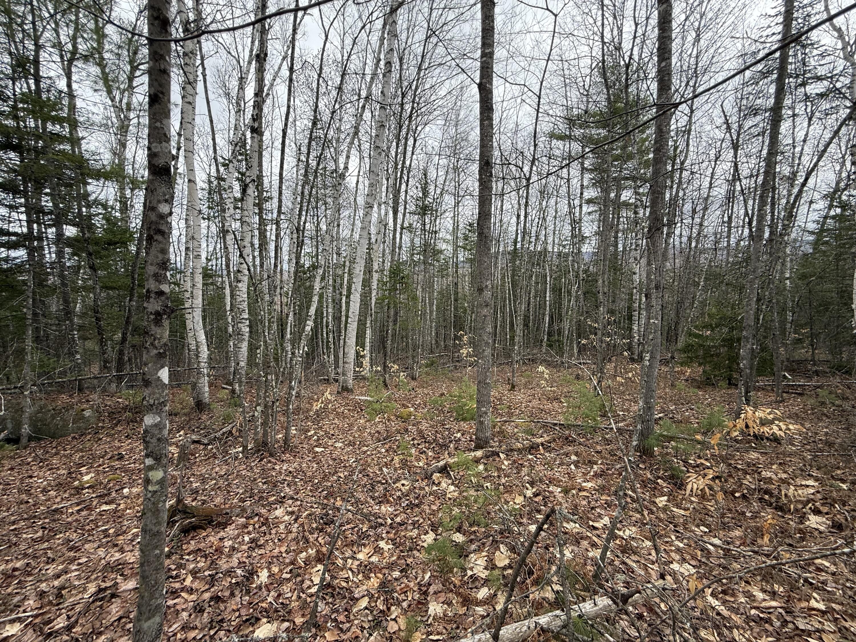 L12 Fuller Road Carthage, ME 04224 - Photo 6 of 10