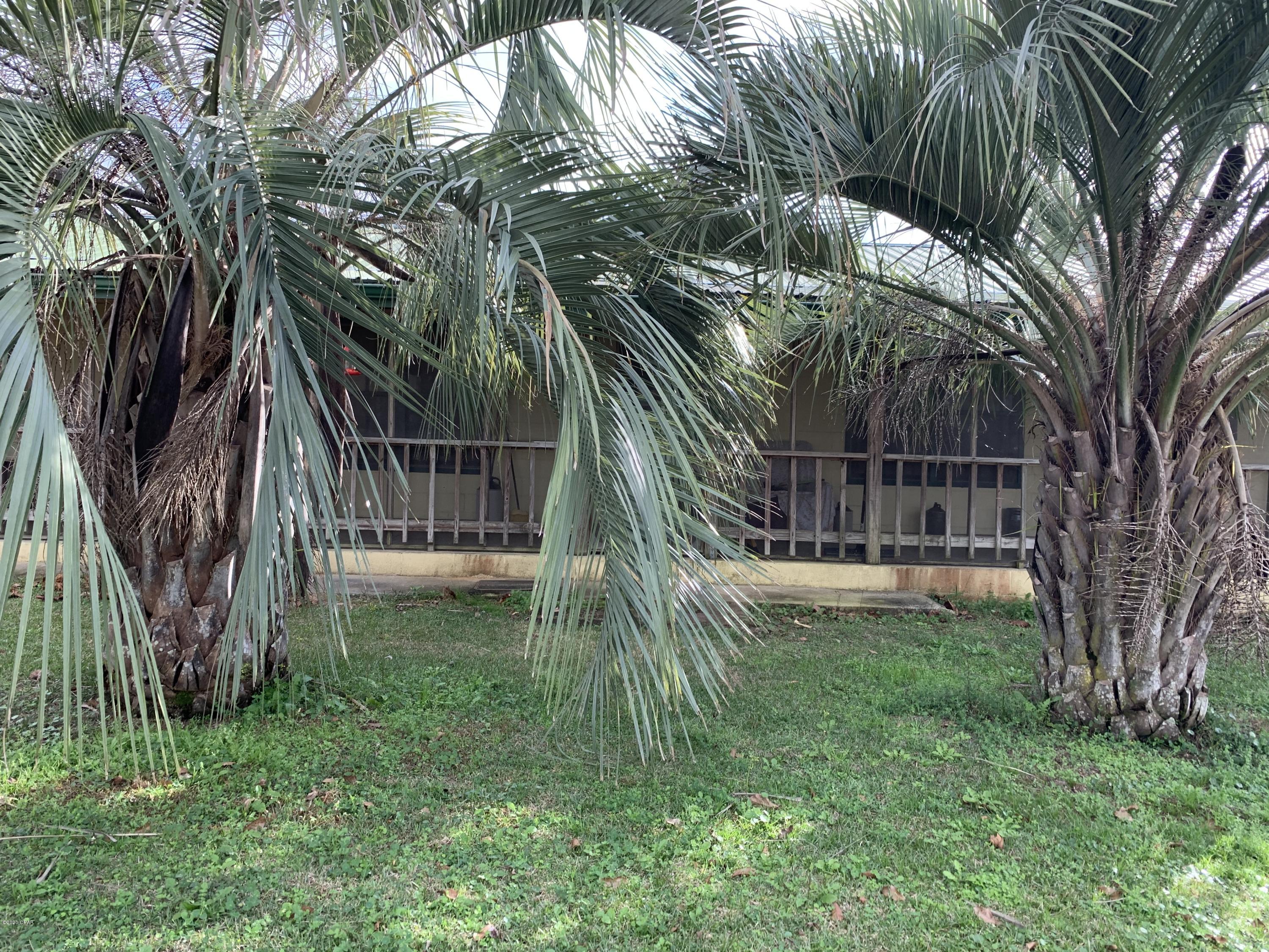 16691 Northeast Morgan Tucker Road Altha, FL 32421 - Photo 35 of 38 Gallery Image 35