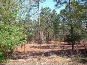 63 Southwest Sw Place Dunnellon, FL 34431 - Photo 1 of 1 Primary Photo
