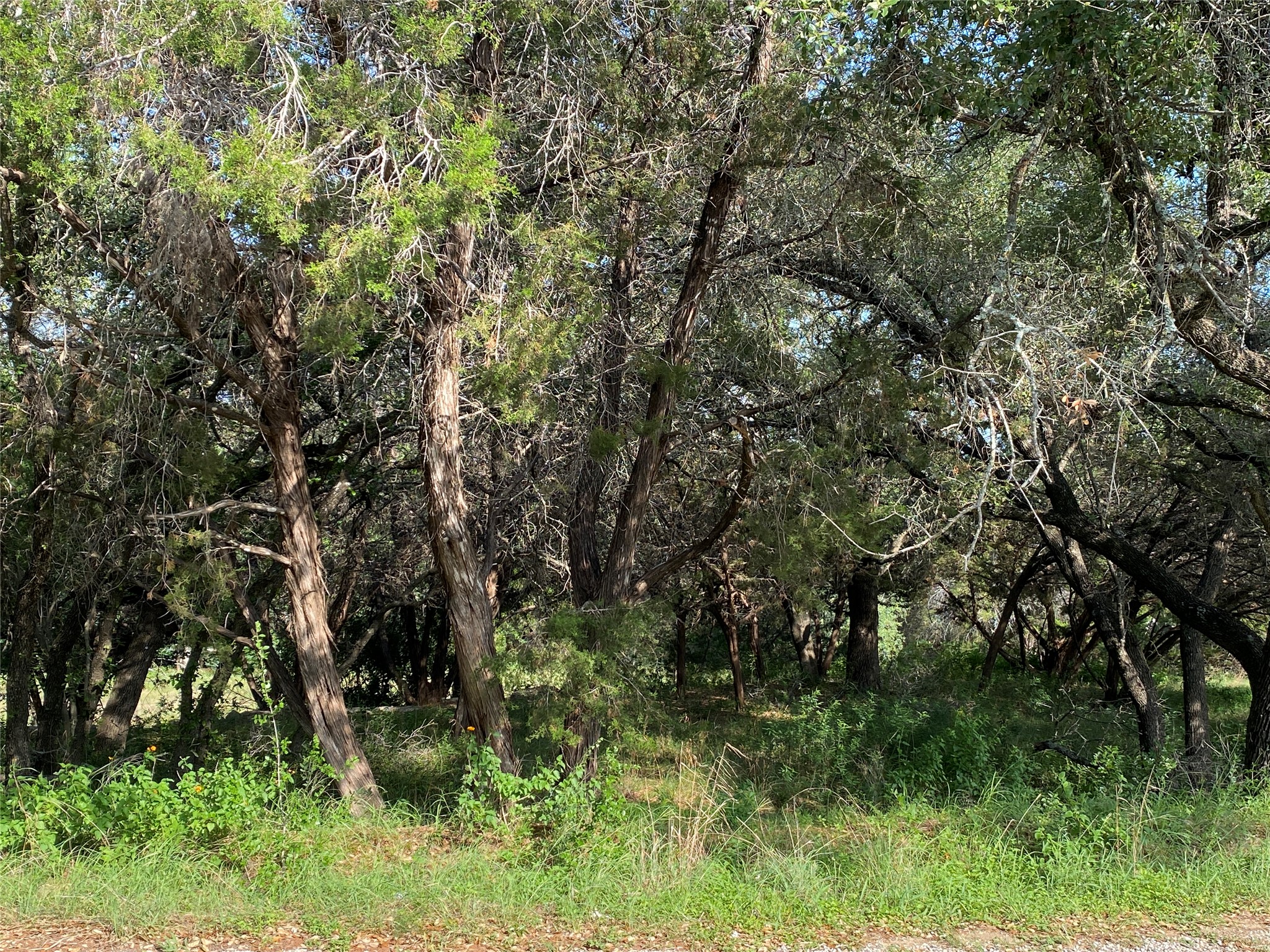 1401 Sharps Road Austin, TX 78734 - Photo 4 of 4