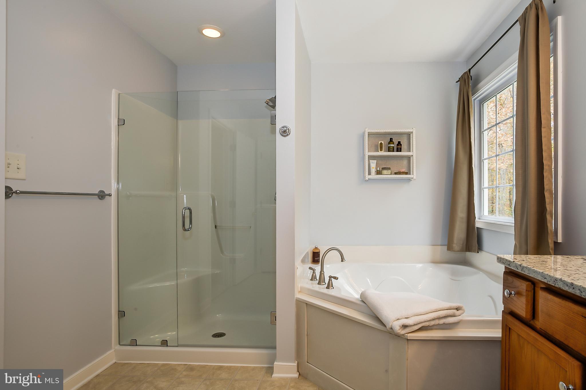 4455 Halls Road Mineral, VA 23117 - Photo 20 of 30 Master Bath
