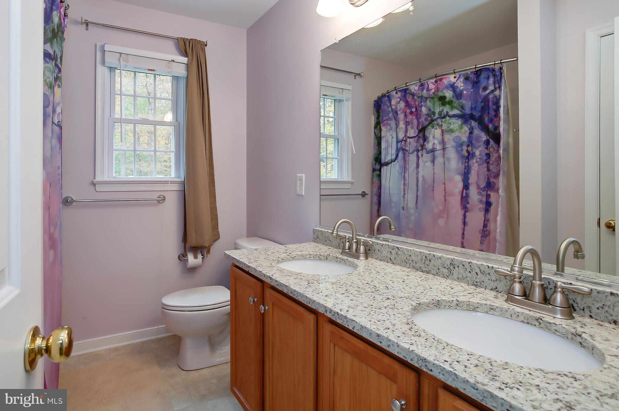 4455 Halls Road Mineral, VA 23117 - Photo 25 of 30 Bath